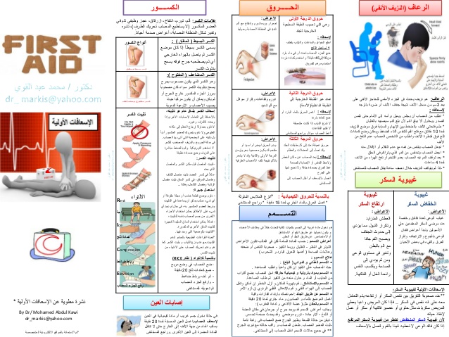 Fayha Periodical Newsletter 2025 image 14-2
