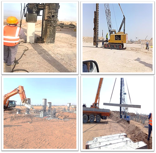 النشرة الإخبارية 2021